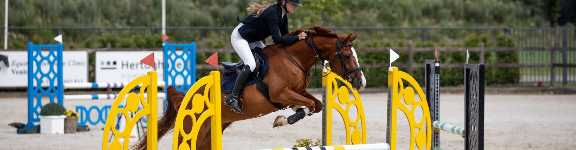 Training en begeleiding