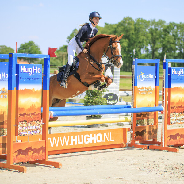 Training en begeleiding